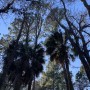 IMG_6037