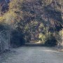 IMG_6046