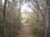 SEWEE TRAIL