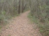 SEWEE TRAIL