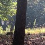 IMG_0813