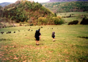Appalachian Trail In Virginia