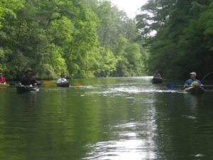 Chattooga National Wild And Scenic River, Chattooga River - West Fork Campground to Earl's Ford