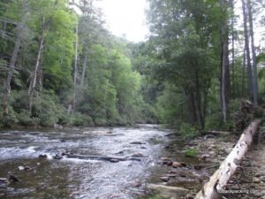 Chattooga River (Burrell's Ford Site #1)