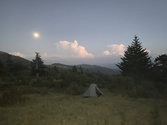 Moonlight In Jefferson National Forest