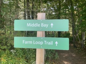 Middle Bay Trail