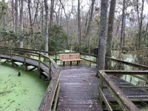 Whooping Crane Pond - November 2020