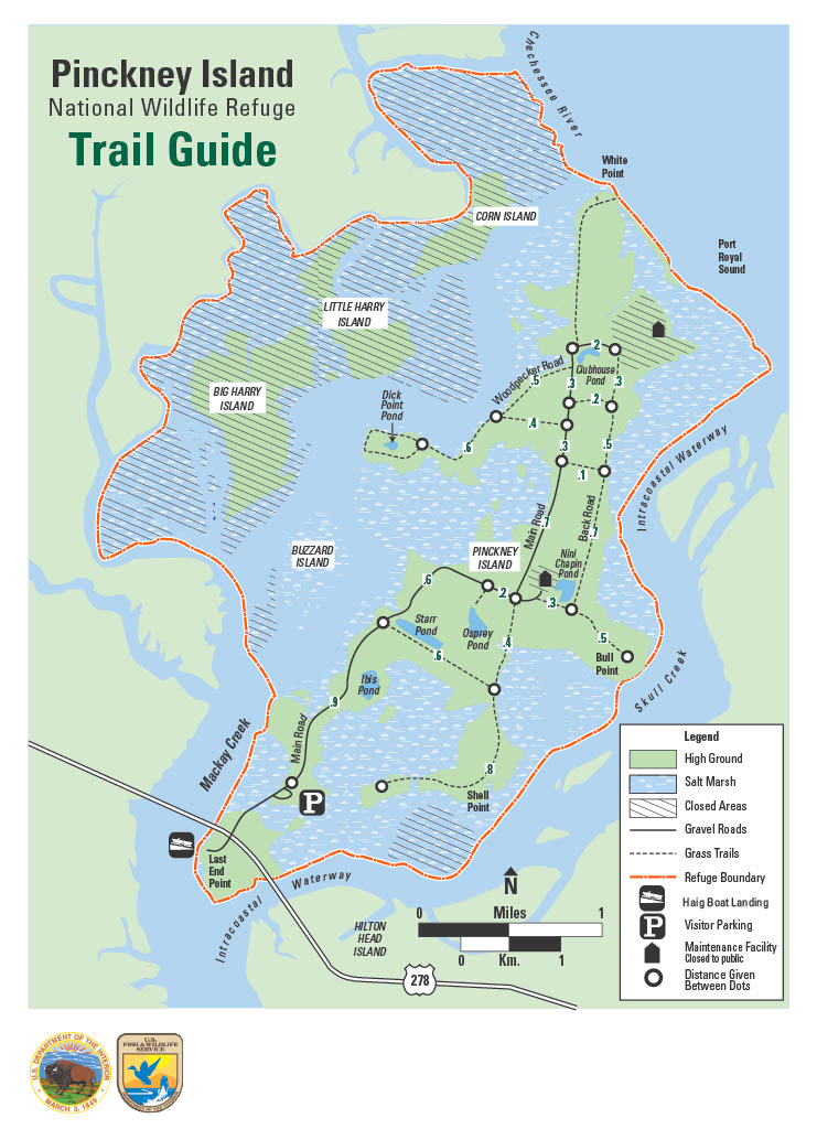 PINCKNEY ISLAND | N2Backpacking