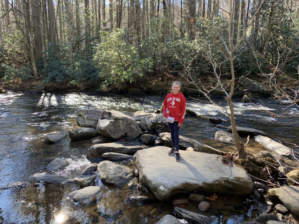 Horsepasture River - November 2019