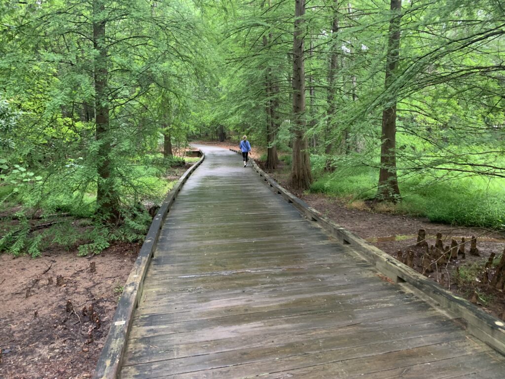 Lake Oconee Hiking Trail