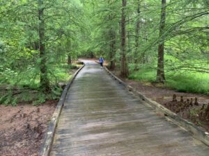 Lake Oconee Hiking Trail