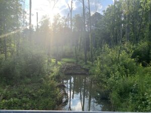 Four Mile Creek - June 27, 2023