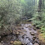 Creek at Desoto Falls