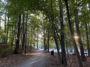 Roswell Area Park