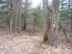 Hogback Mountain