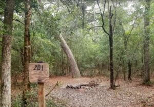 Gopher Loop Trail