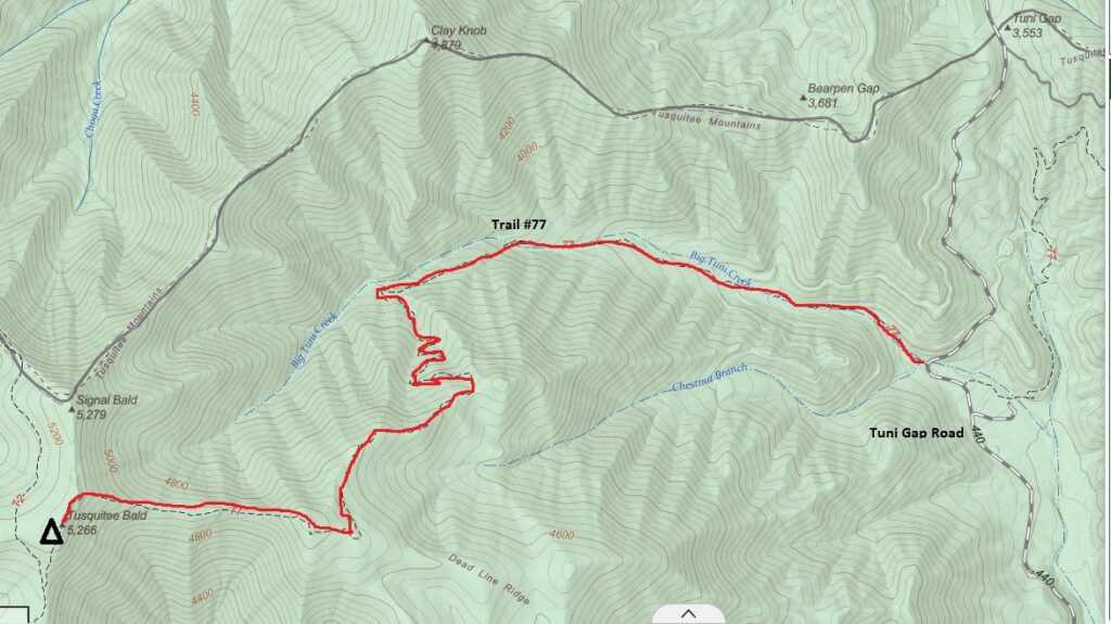 Tusquitee Bald Marked2 Topo Map - Tusquitee Bald Marked2 Topo Map 1024x575 