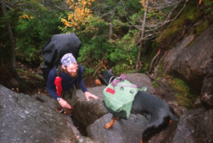 Appalachian Trail #7 (Wildcat Mountain to Mt. Moriah)