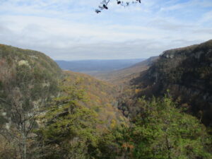 Cloudland Canyon #8