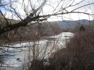 Audubon Nature Trail