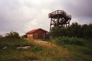 Appalachian Trail #3 (Stratton Mountain to VT 103)